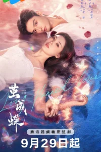 Спланированная любовь